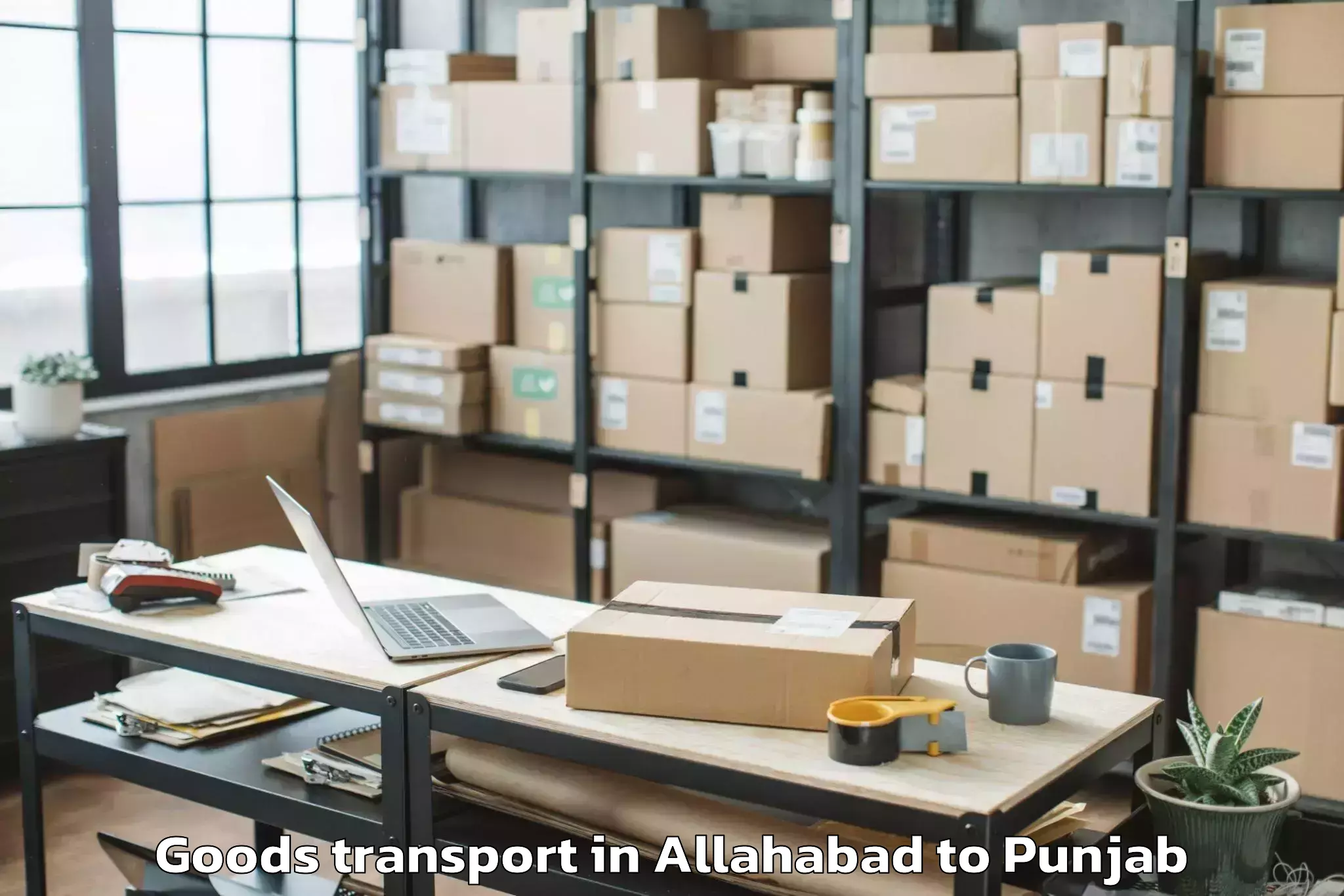 Professional Allahabad to Nihal Singhwala Goods Transport